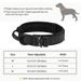 Collier tactique d'extérieur pour chien avec boucle en métal et nylon respirant, collier de dressage pour chien de taille moyenne et grande_voghion.com