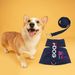 Guangying 1 Set Pet Leash Set Soft Comfortable Adjustable Alphabet Pet Puppy Dog Chest Strap Leash Set Pet Supplies_voghion.com