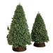 180cm Auto-Shaped PE Christmas Tree – Premium 3D Tri-Branch Design With Realistic Foliage (Standing Floor Decor, Multiple Color Options)_voghion.com
