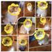 Sunflower Elizabethan EVA Sponge Lightweight Headband Cat Supplies Neck Anti-Lick Shame Collar Neutering Use_voghion.com