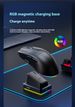Wireless Gaming Mouse With RGB Charging Dock – Bluetooth & 2.4G Dual Mode, 2000 DPI, 6 Adjustable Speeds, 4-Way Scroll Wheel, Ergonomic Design_voghion.com