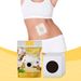 South Moon Bee Venom Body Care verstevigt dijen, Salute Meat, Lazy Belly Button Patch_voghion.com