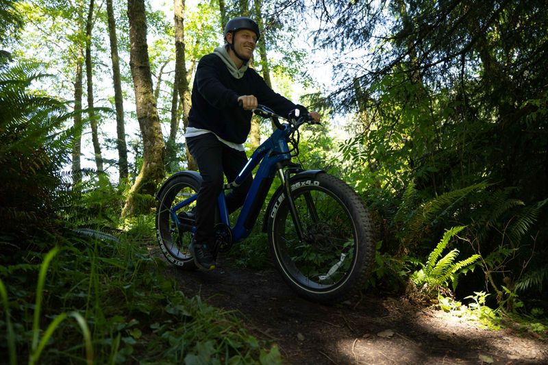 26" Step Over Electric Mountain Bike - Blue_voghion.com