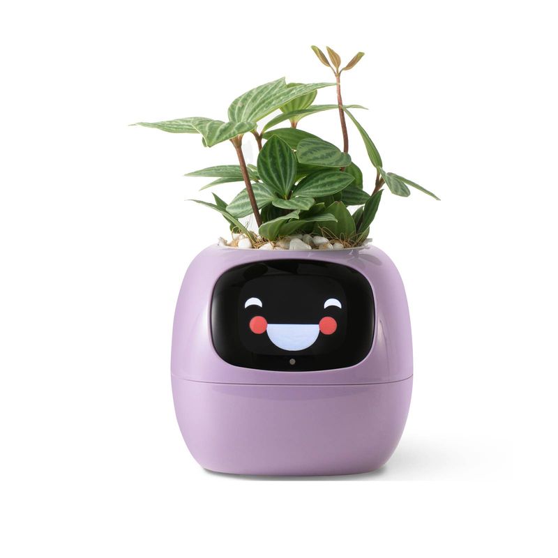 Smart kjæledyrplanter-robotveiledning om plantepleie med emojier, bedårende plantekompanjong med rik bevegelsesinteraksjon, ryddig skrivebordsoppsettgave (lilla)_voghion.com