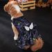 2024 Nuovo Halloween Pet Dog Clothes Zucca Pipistrello Ali Luminose Vestito_voghion.com