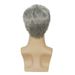 Men's Wigs Gray And White Side Parted Short Straight Hair Elastic Net Chemical Fiber Short Wig_voghion.com