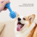 Pet Interaction Toys Dog Grinding Teeth Toys_voghion.com