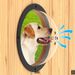 and Dog Special Pet Cat Door Transparent Semi-circular Acrylic Fence Window_voghion.com