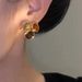 Women's earrings design zircon earrings 2023 new trendy women's earrings niche retro high-end versatile earrings_voghion.com