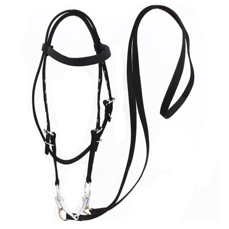 Rein webbing bridle adjustable reins equestrian supplies_voghion.com