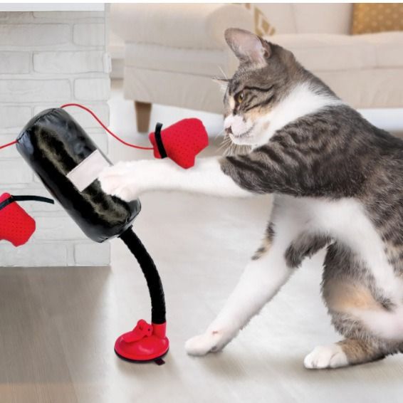 New Game Multifunctional Cat Teaser Boxing Toy_voghion.com