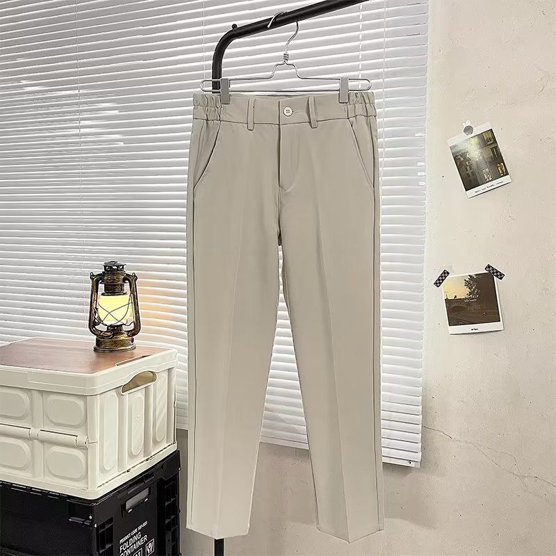 Light And Mature Style Pants Men's Autumn And Winter Double-pleated Elastic Waist Men's Trousers Micro-cone Trousers Korean Version Straight-leg Suit_voghion.com