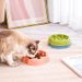 Pet Anti-Slip Anti-Tip Dog Slow Feeder Large Capacity Cat Bowl_voghion.com