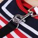 Pet Supplies Navy Style Dog Leash Dual-use Vest-style Teddy Poodle Chest Harness_voghion.com