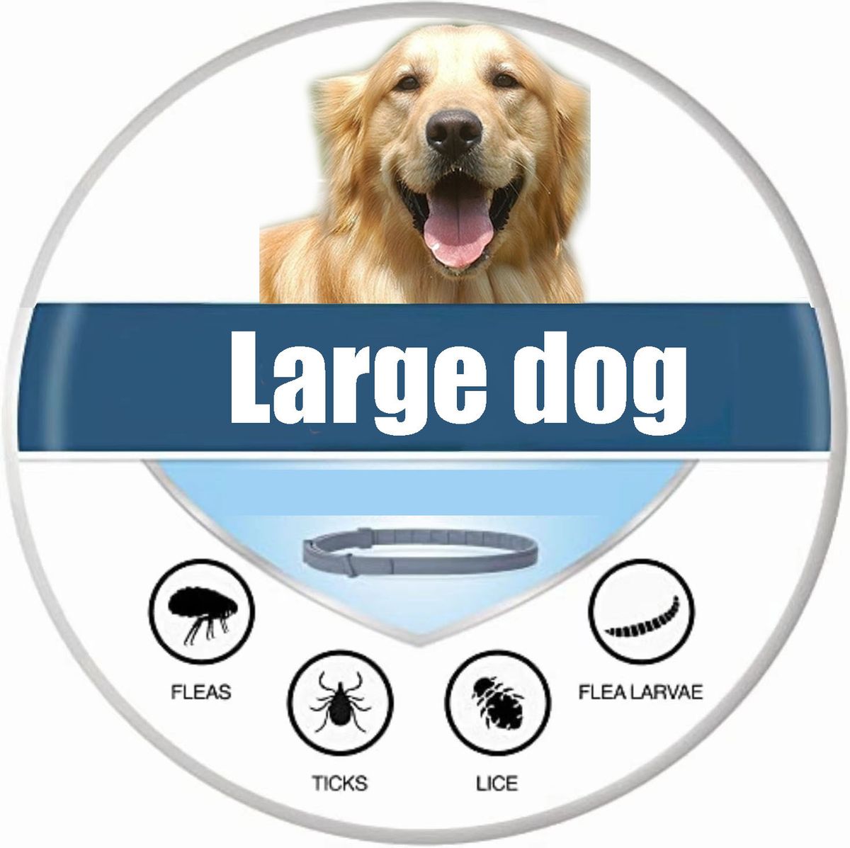 Die umfassendste Version des Flohhalsbands_voghion.com