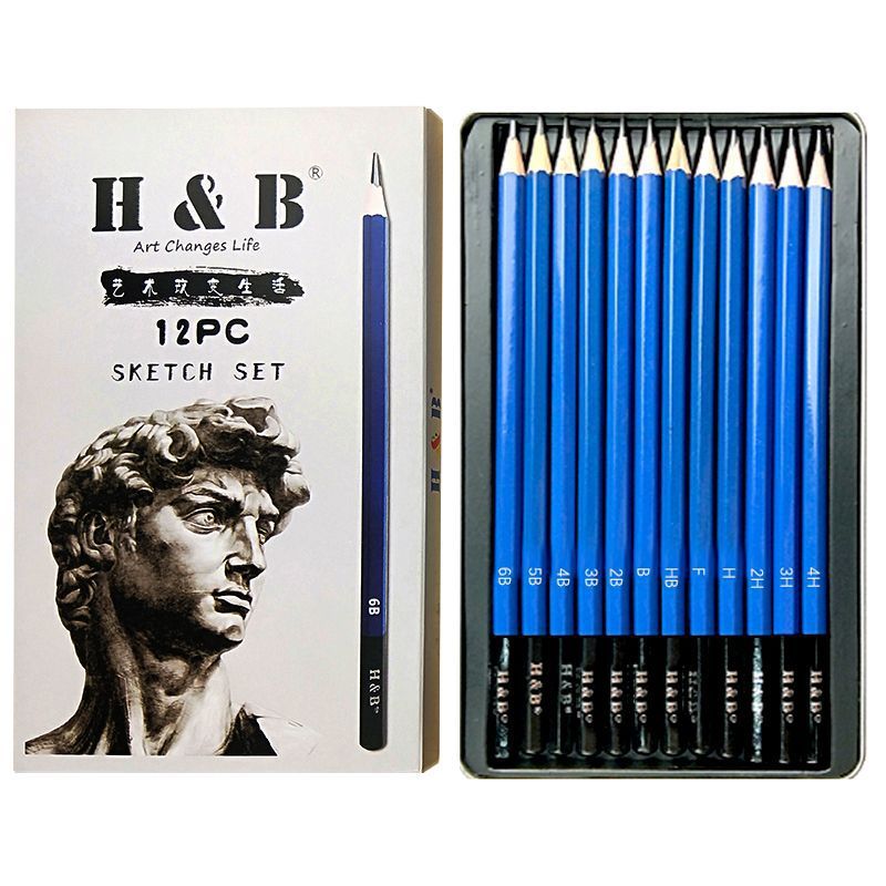 Professional 12-Piece Sketching Pencil Set In Metal Case - 2B Graphite, Premium Wooden Pencils For Artists & Students_voghion.com