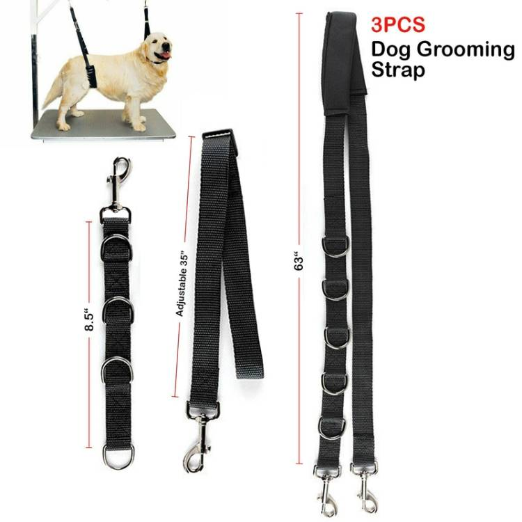 3pcs /Set Pet Bathing Beauty Table Fixed Lanyard Dog Tow Rope_voghion.com