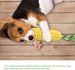 Dog Chew Toys, Puppy Toothbrush Clean Teeth Interactive Corn Toys, Dog Toys Aggressive Chewers Meduium Large Breed_voghion.com