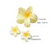 3-Piece Plumeria Hair Clip Set – Vacation-Ready Flower Hairpins For Half-Up Styles, Shark Clip Hair Accessories_voghion.com