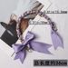 Evelyn Hand Chain Accessories Bow Bag Strap Bag Sciarpa di seta Tracolla intrecciata Tracolla corta da donna_voghion.com