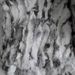 Women's Clothing Parker Real Rabbit Fur Liner Fur Rabbit Fur Liner_voghion.com