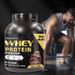 Cross-Border Export Whey Protein Powder Sports In Stock 5LBS_voghion.com