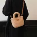 Designer Bag Womens bucket autumn winter plush shoulder cross body bag soft and fluffy wallet artificial cashmere womens_voghion.com