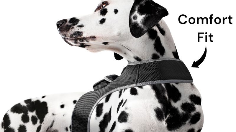 Realtime GPRS GPS Surveillance Mini Pet Tracking Device for Dog w/ App Size:XXL_voghion.com