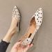 Fashion Plus Size Flats Pointed Flat Shoes_voghion.com