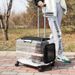 Pet Trolley Cat Capacity Two Medium And Large Pets Outgoing Bag Transparent Travel Box Portable Dog_voghion.com