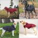 Large Pet Small Rain Poncho Waterproof Windproof Hooded One Size Dog Raincoat Reflective_voghion.com