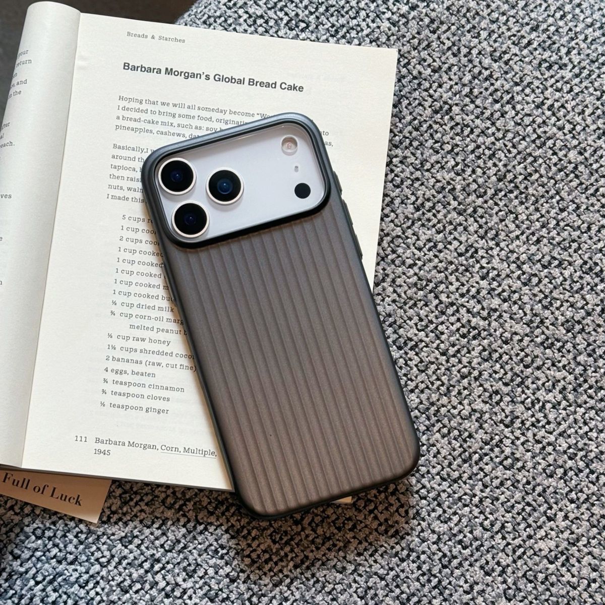 Titanium Shield Magnetic Clasp Phone Case - Stylish Protection For IPhones (iPhone 17 & 17 Pro Max)_voghion.com