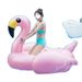 Summer Entertainment Water Bed Ins High-Value Inflatable Flamingo Adult Floating Row Swimming Ring Air Cushion_voghion.com
