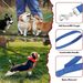 12 Colors Dog Long Line Puppy Leash Suitable For Training Small And Medium-sized Dogs_voghion.com
