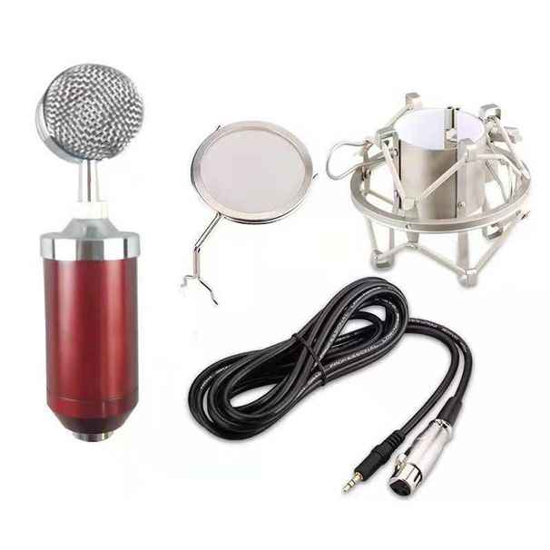 BM8000 Vintage Classic Karaoke Microphone Studio Condenser Mikrofon Mic With Pop Filter Radio Braodcasting Singing_voghion.com