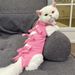 Cat Weaning Sterilization Suit Cats Anti-licking Sterilization Clothes Pet Surgery Recovery Suit Castration Wound Recovery Cloth_voghion.com