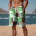 Unbeatable Quality Unbeatable Quality 2024 New Summer Breathable Hawaiian Beach Pants 3D Printed Checkered Pattern Men's Shorts None_voghion.com