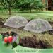 6 Sets Strawberry Supports With 24 Ground Nails Square Strawberry Growing Support Stakes Reusable Cloche Dome For Outdoor Garden Vegetable_voghion.com