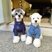 Cappotto e giacca in cotone per cani, caldi, invernali, Schnauzer, Bichon, Teddy, Shiba Inu, West Highland_voghion.com