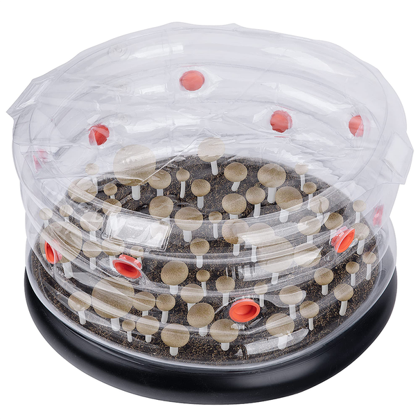 Rundes Pilz-Monotub-Set, aufblasbarer Pilzzuchtbeutel mit Stöpseln und Filtern für Frischluftaustausch, Pilzzuchtset für den Garten_voghion.com