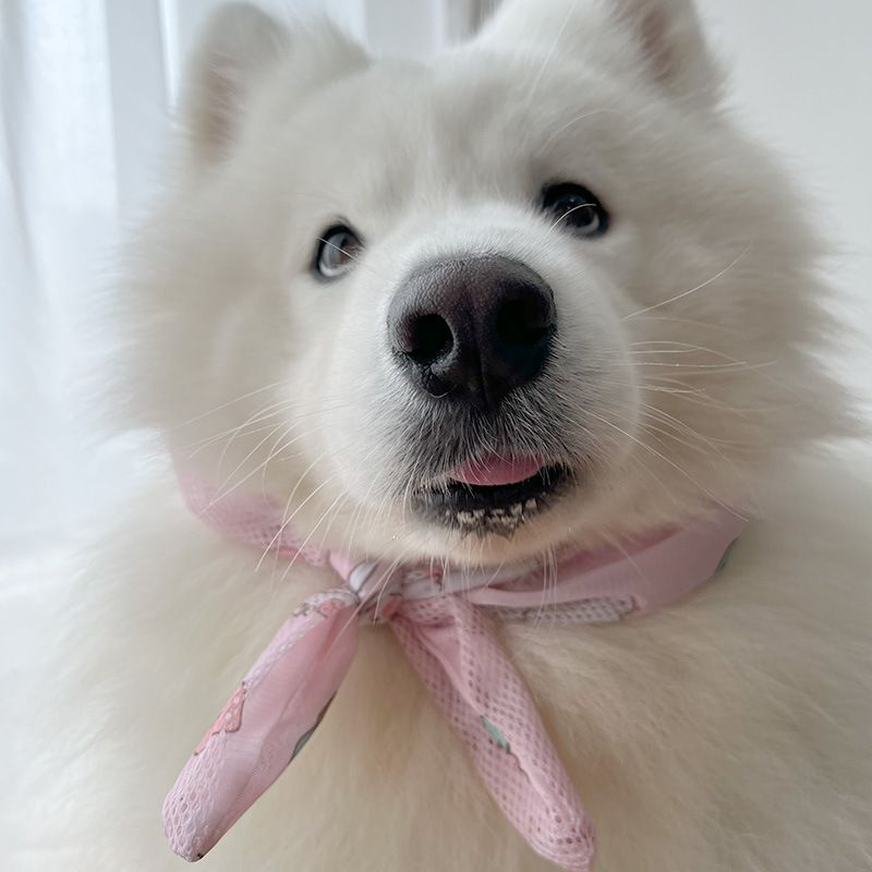 Dog Clothes Summer Thin Style For Golden Retriever Labrador Samoyed Border Collie Medium Large Dogs Sun Protection Vest_voghion.com