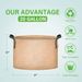Strap Bags With Grow Pack Garden 20 20 Gallon Pots 5 For Handles Gall Aeration Tan Planting And 5Pack Fabric Container Nonwoven_voghion.com