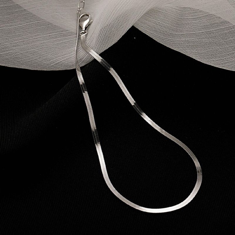 2023 New Trendy Sunshine Ankle Simple Snake Bone Blade Anklet Personality Minimalist Niche Design Versatile Foot Chain_voghion.com