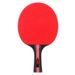 New Colorful Set Four Rackets Six Balls With Bag Training Table Tennis Racket For Men, Women, And Children_voghion.com