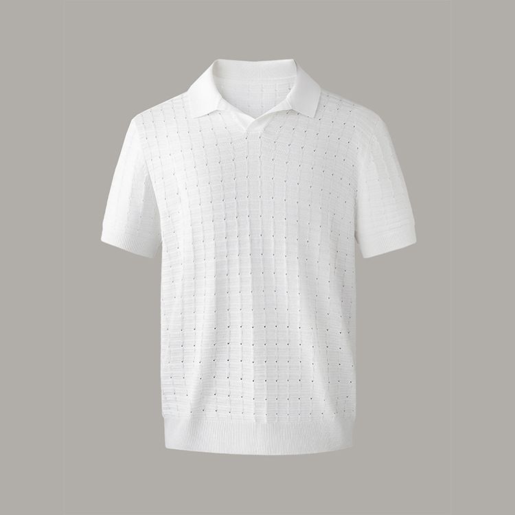 Men's Clothing New Simple Business Solid Color Seagull Collar Old Money Style All Match Pullover Short Sleeved Sweater_voghion.com