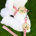 Cat Cute Cartoon Bear Chest Harness Set Universal For Cats And Dogs Outdoor Anti-Escape Dog Leash_voghion.com