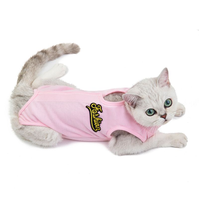 Vestiti per animali domestici, nuovi camici chirurgici per gatti primaverili ed estivi, camici per sterilizzazione_voghion.com