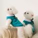 Roupas para animais de estimação, suéter, corgi, chihuahua, princesa, vestido kwaii, fantasia de algodão para cachorro, roupas confortáveis para gatos, da loja PawParty_voghion.com