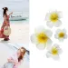 24 pezzi da 2,4 pollici di fiori di plumeria hawaiani, fermagli per capelli in schiuma, accessori per decorazioni per eventi di nozze e feste in spiaggia_voghion.com