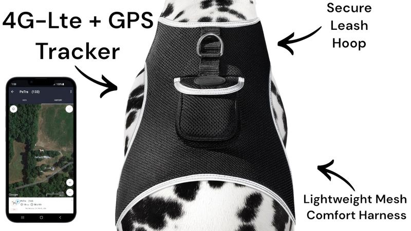 Mini GSM GPS Pet Collar Tracking Device for Remote Locality Monitoring Size:XXL_voghion.com